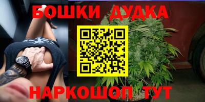 прущий лед Бийск
