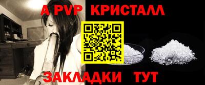 шишки Беслан