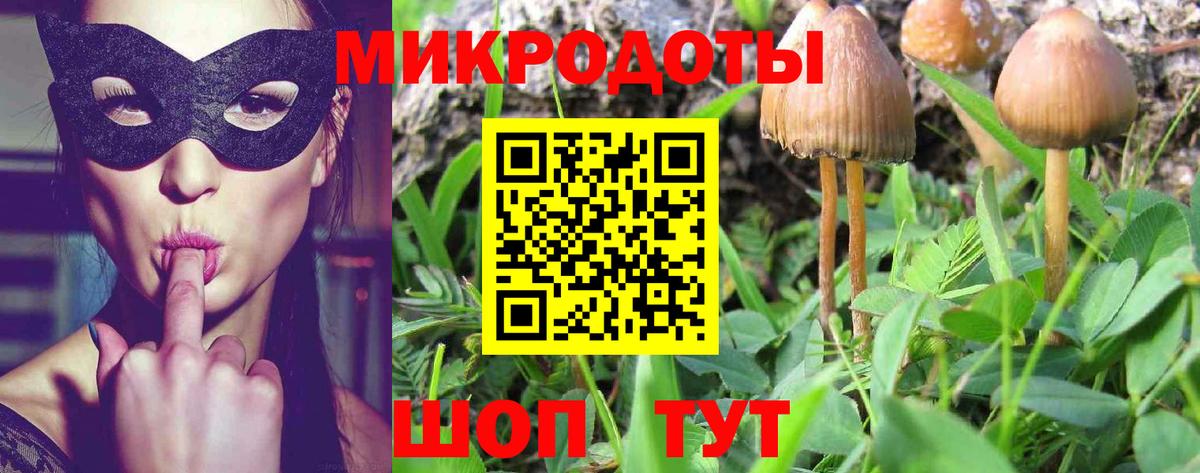 Псилоцибиновые грибы Cubensis  Вход с VPN  Камень-на-Оби  Галлюциногенные грибы Psilocybe 